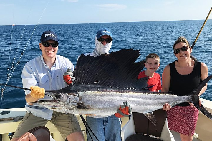Beautiful Sailfish For the Family